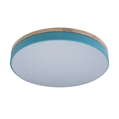 Светильник потолочный Loft it Axel 10001/36 Blue