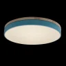 Светильник потолочный Loft it Axel 10001/36 Blue