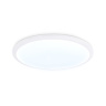 Потолочный светодиодный светильник Ambrella light FZ1231