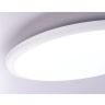 Потолочный светодиодный светильник Ambrella light FZ1231