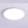 Потолочный светодиодный светильник Ambrella light FZ1231