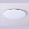 Потолочный светодиодный светильник Ambrella light FZ1231