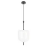 Подвесной светильник Loft it Venice 10223/D White