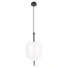 Подвесной светильник Loft it Venice 10223/D White