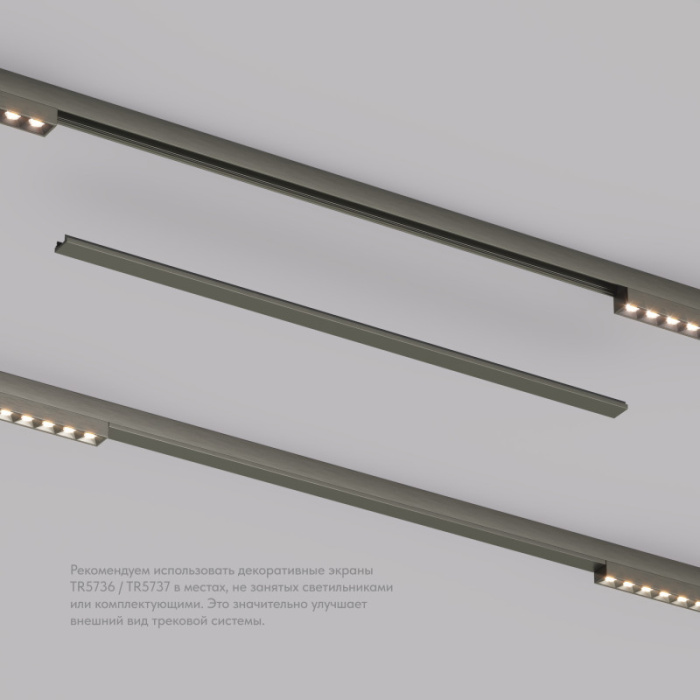 Декоративная заглушка желоба трека SHINE BASE TR5737-DN