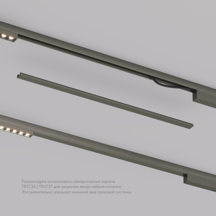 Декоративная заглушка желоба трека SHINE BASE TR5737-DN