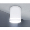 Накладной точечный светильник с акрилом Ambrella light TN3202