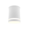 Накладной точечный светильник с акрилом Ambrella light TN3202