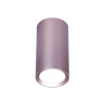 Накладной точечный светильник GU5.3 Ambrella light TN220