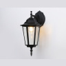 Уличный настенный светильник Ambrella light ST2018