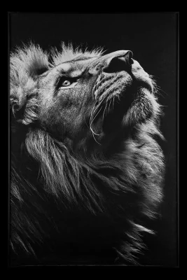 Картина Teona Decor Lion TD145