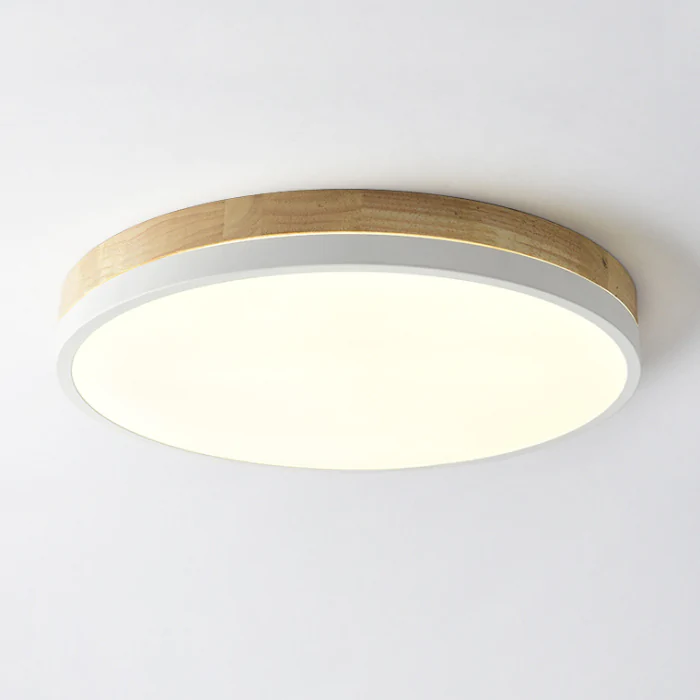Потолочный светильник DISC DH D38 White ImperiumLoft