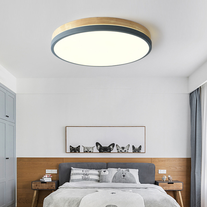 Потолочный светильник DISC DH D38 White ImperiumLoft