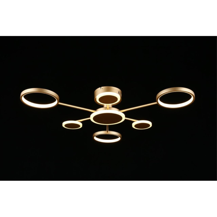 Потолочный светодиодный светильник Aployt Didian APL.015.07.33