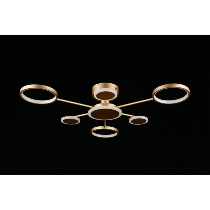 Потолочный светодиодный светильник Aployt Didian APL.015.07.33