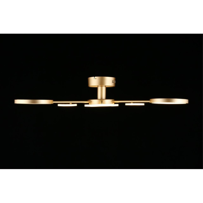 Потолочный светодиодный светильник Aployt Didian APL.015.07.33