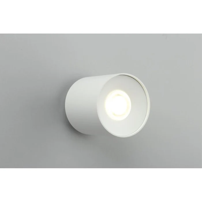 Светильник накладной Omnilux Torino OML-100309-16
