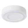 Потолочный светодиодный светильник Arte Lamp Antares A7806PL-2WH