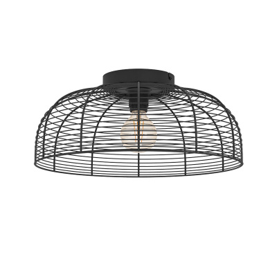 Светильник потолочный RINROE EGLO 43896