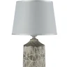 Настольная лампа Arti Lampadari Erula E 4.1.T1 GY