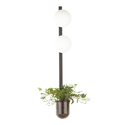 Настенный светильник Odeon Light Flower 4681/2WA