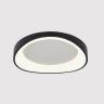Потолочный светильник Arte Lamp A2698PL-60BK