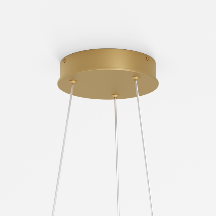 Подвесной светильник Maytoni Rim MOD058PL-L42BSK