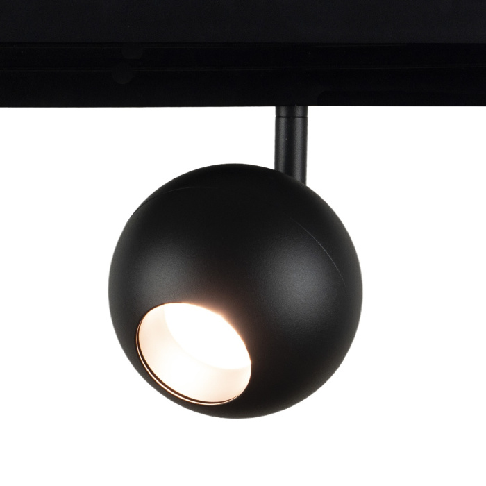 Трековый светильник LOFT IT T024-12