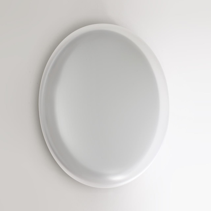 Настенно-потолочный светильник СОНЕКС PALE 7776/ELN