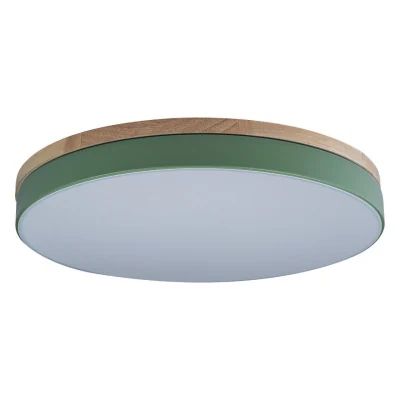 Светильник потолочный Loft it Axel 10001/36 Green