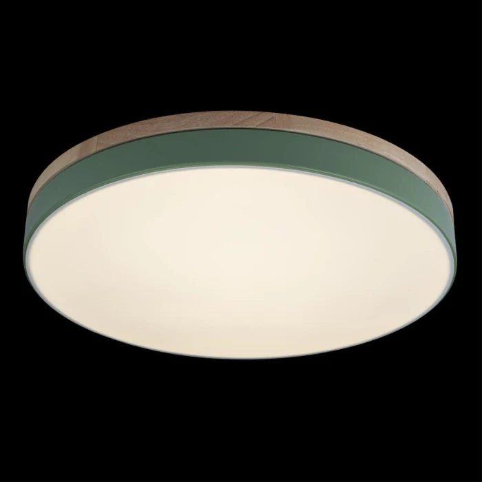 Светильник потолочный Loft it Axel 10001/36 Green