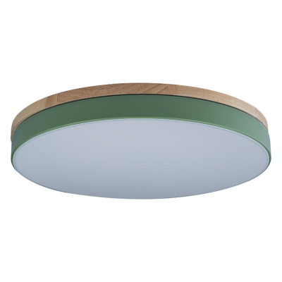 Светильник потолочный Loft it Axel 10001/36 Green