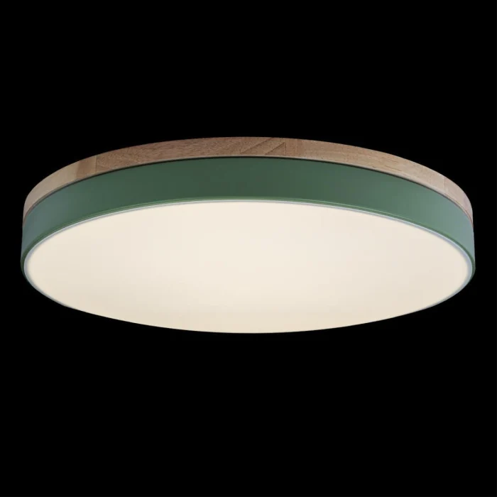 Светильник потолочный Loft it Axel 10001/36 Green