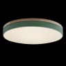 Светильник потолочный Loft it Axel 10001/36 Green