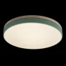 Светильник потолочный Loft it Axel 10001/36 Green
