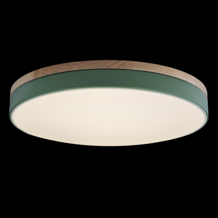 Светильник потолочный Loft it Axel 10001/36 Green