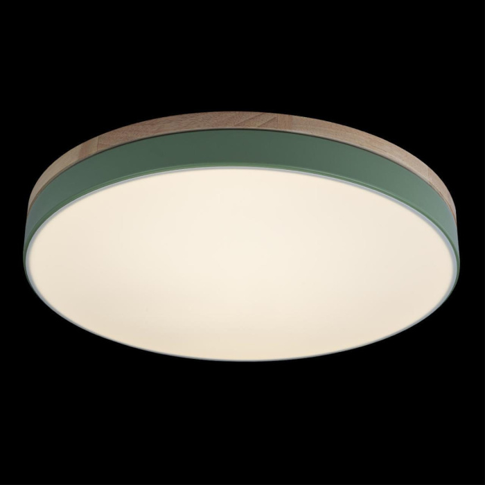 Светильник потолочный Loft it Axel 10001/36 Green