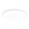 Потолочный светодиодный светильник Ambrella light FZ1232