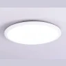 Потолочный светодиодный светильник Ambrella light FZ1232