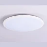 Потолочный светодиодный светильник Ambrella light FZ1232