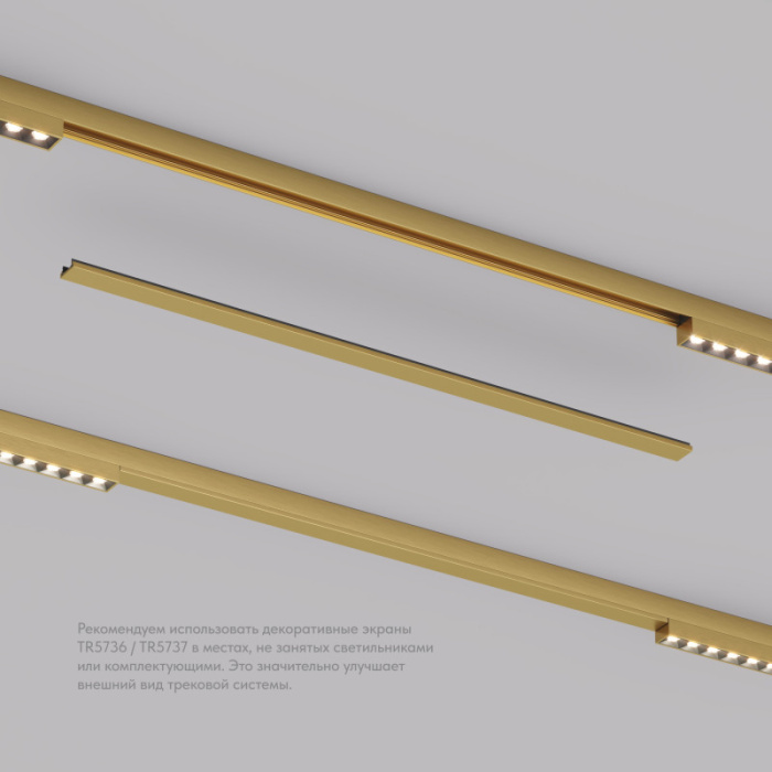 Декоративная заглушка желоба трека SHINE BASE TR5737-SB