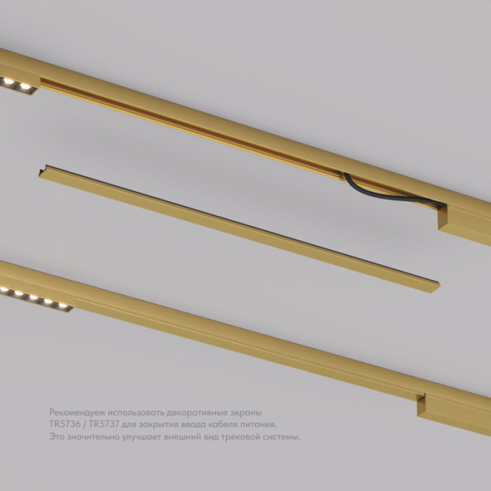 Декоративная заглушка желоба трека SHINE BASE TR5737-SB