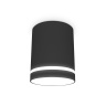 Накладной точечный светильник с акрилом Ambrella light TN3204