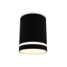 Накладной точечный светильник с акрилом Ambrella light TN3204
