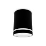 Накладной точечный светильник с акрилом Ambrella light TN3204