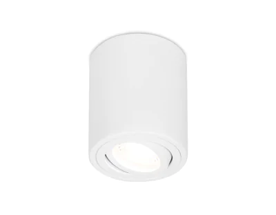 Накладной поворотный точечный светильник Ambrella light TN225