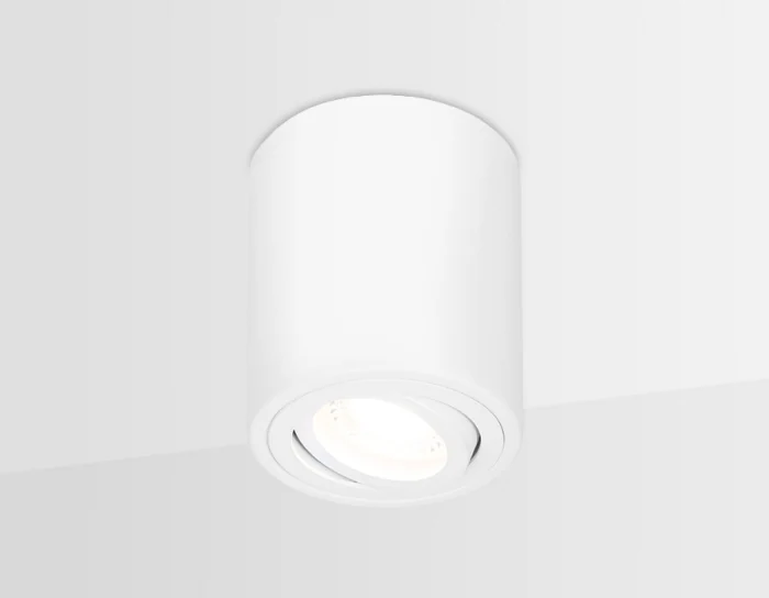 Накладной поворотный точечный светильник Ambrella light TN225