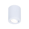 Накладной поворотный точечный светильник Ambrella light TN225