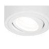Накладной поворотный точечный светильник Ambrella light TN225