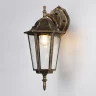 Уличный настенный светильник Ambrella light ST2019